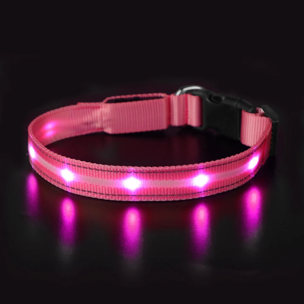 MASBRILL Light Up Dog Collar Waterproof USB Rechargeable