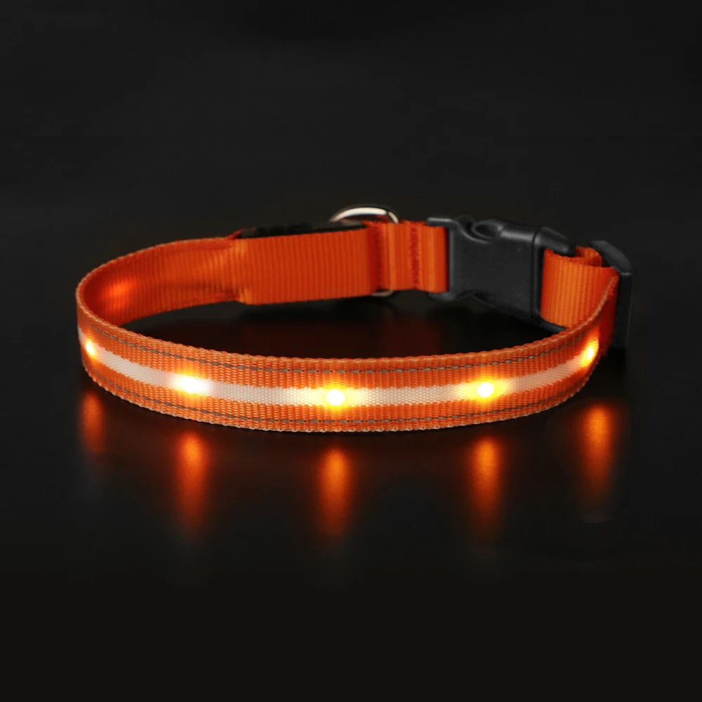 MASBRILL Light Up Dog Collar Waterproof USB Rechargeable