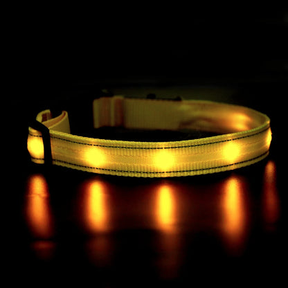 MASBRILL Light Up Dog Collar Waterproof USB Rechargeable