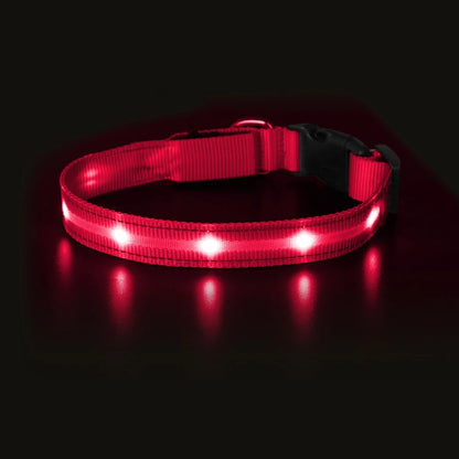 MASBRILL Light Up Dog Collar Waterproof USB Rechargeable