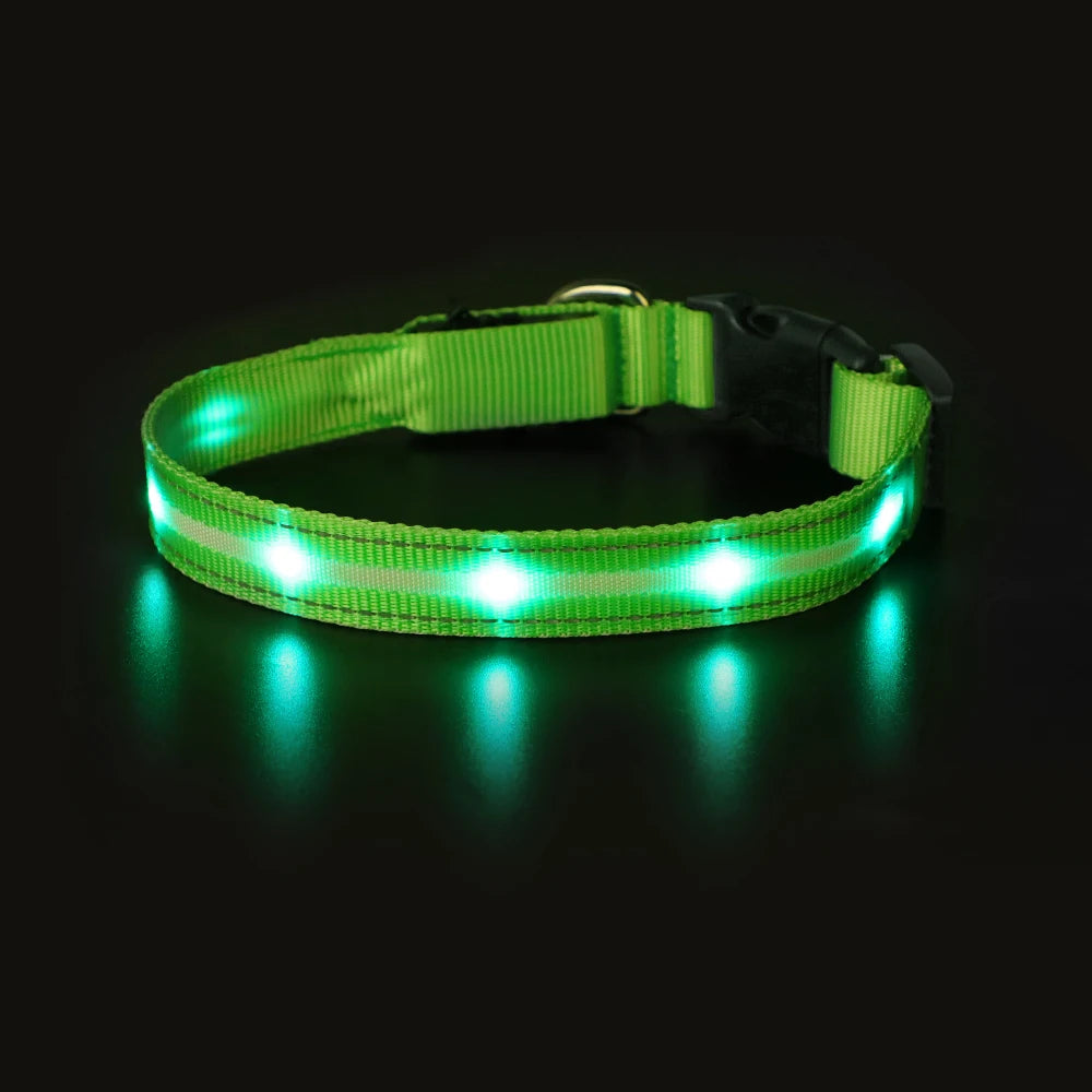 MASBRILL Light Up Dog Collar Waterproof USB Rechargeable