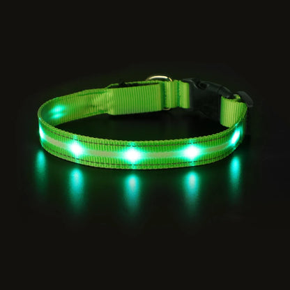 MASBRILL Light Up Dog Collar Waterproof USB Rechargeable