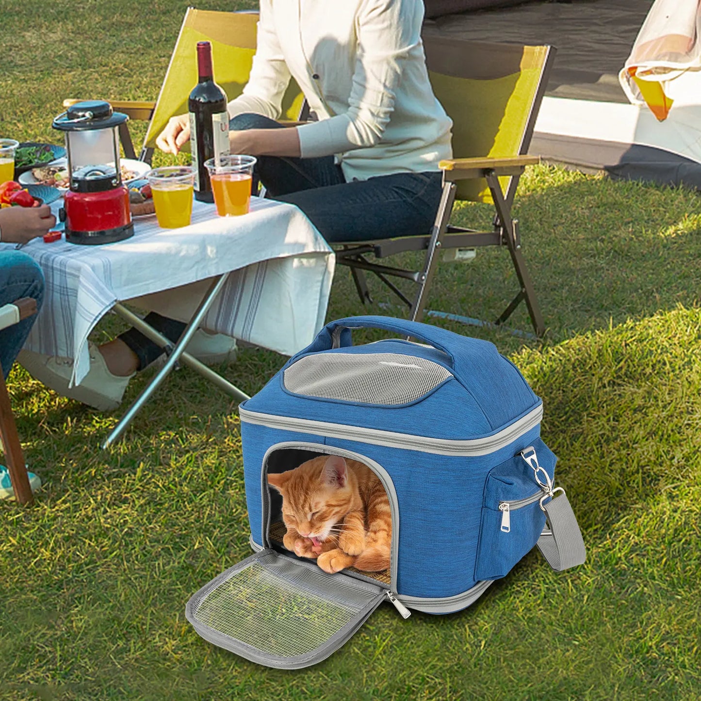 Blue Collapsible Pet Carrier | Oxford Waterproof Travel Bag