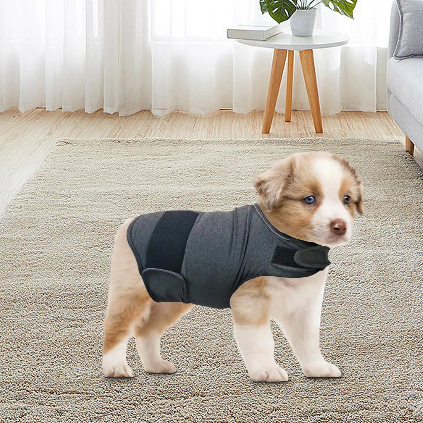 Classic Dog Anxiety Jacket Breathable Dog Calming Vest
