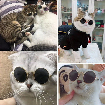 Pet Cat Dog Glasses Pet Products for Little Dog Cat Eye