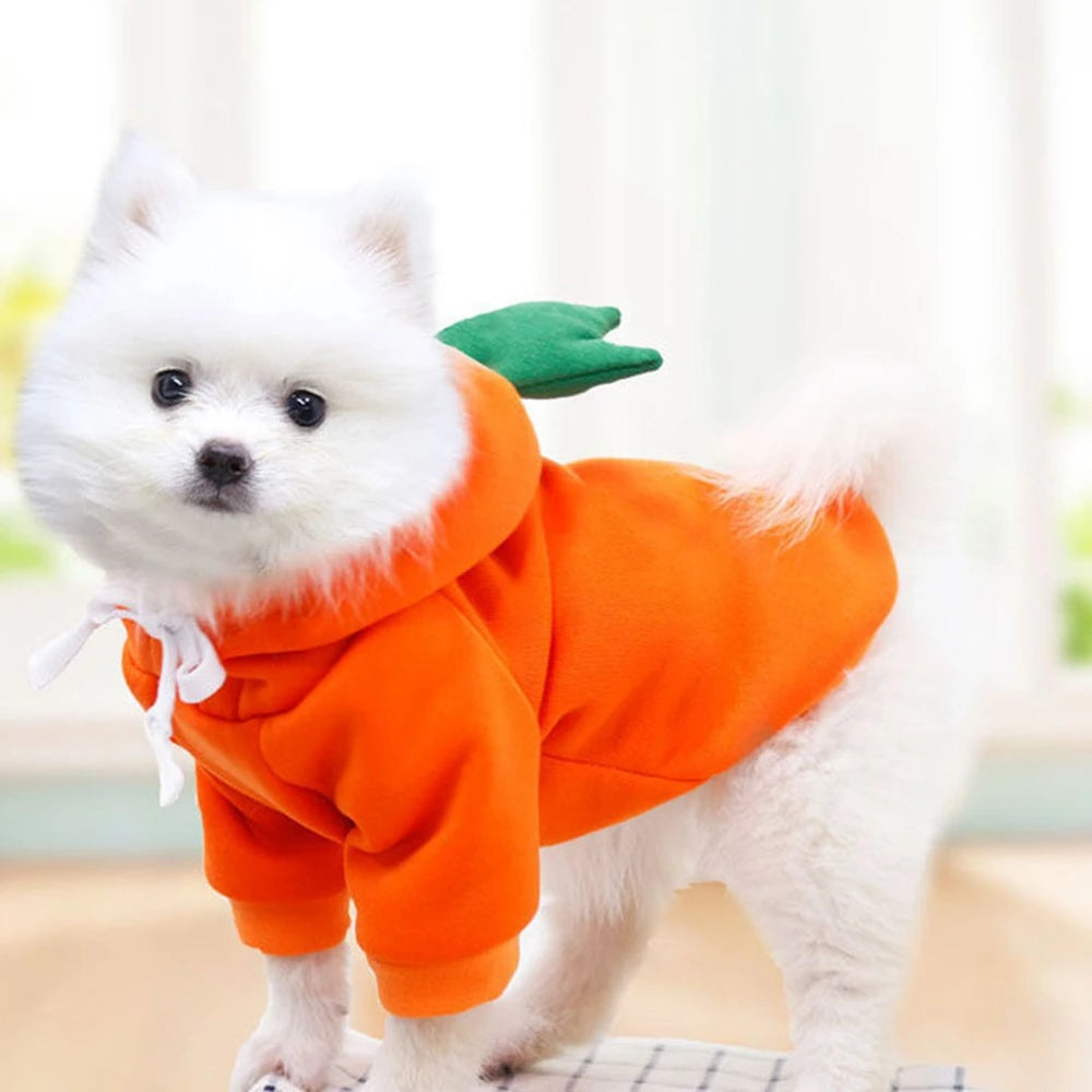 Cute Fruit Dog Clothes for Small Dogs Hoodies Warm