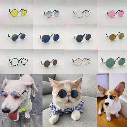 Pet Cat Dog Glasses Pet Products for Little Dog Cat Eye