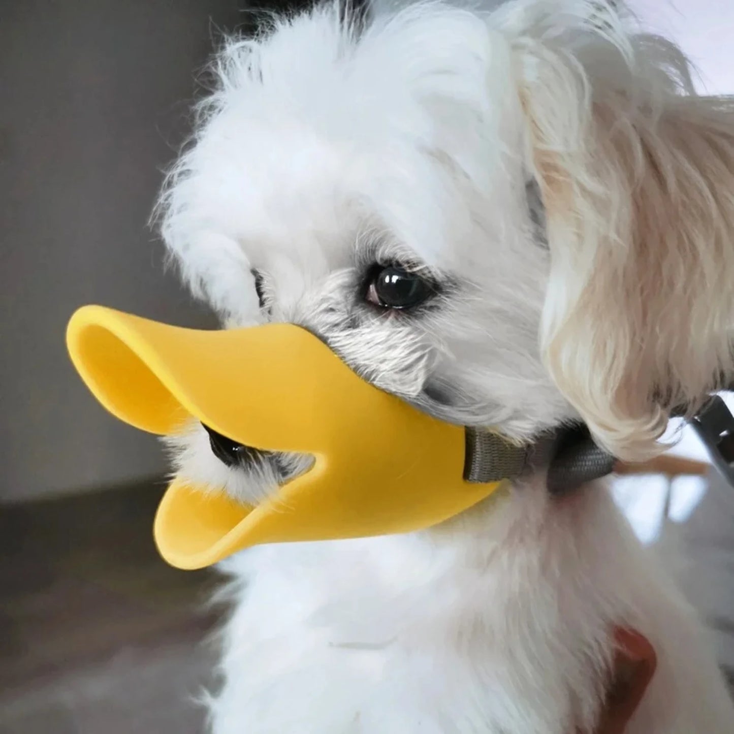 Dog Muzzle Silicone Duck Muzzle Mask  Pet Dogs Anti Bite