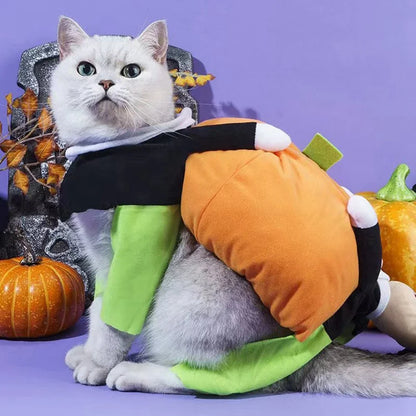 Halloween Funny Pet Clothes Cat Pet Pumpkin Costume