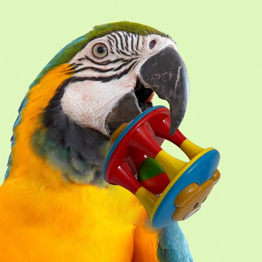 Parrot Ball Toy with Bell Cage Hanging Accessories for Medium