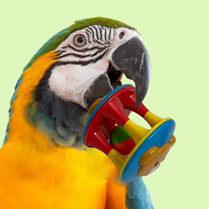 Parrot Ball Toy with Bell Cage Hanging Accessories for Medium