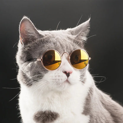 Pet Cat Dog Glasses Pet Products for Little Dog Cat Eye