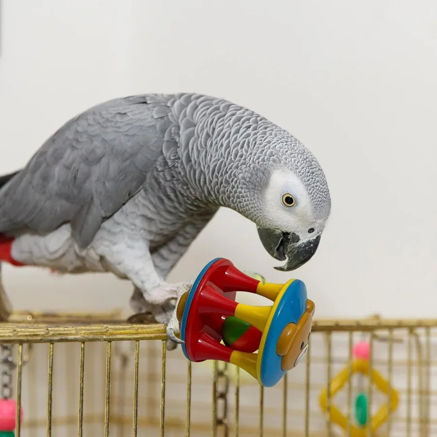 Parrot Ball Toy with Bell Cage Hanging Accessories for Medium