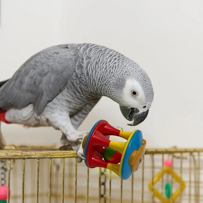 Parrot Ball Toy with Bell Cage Hanging Accessories for Medium