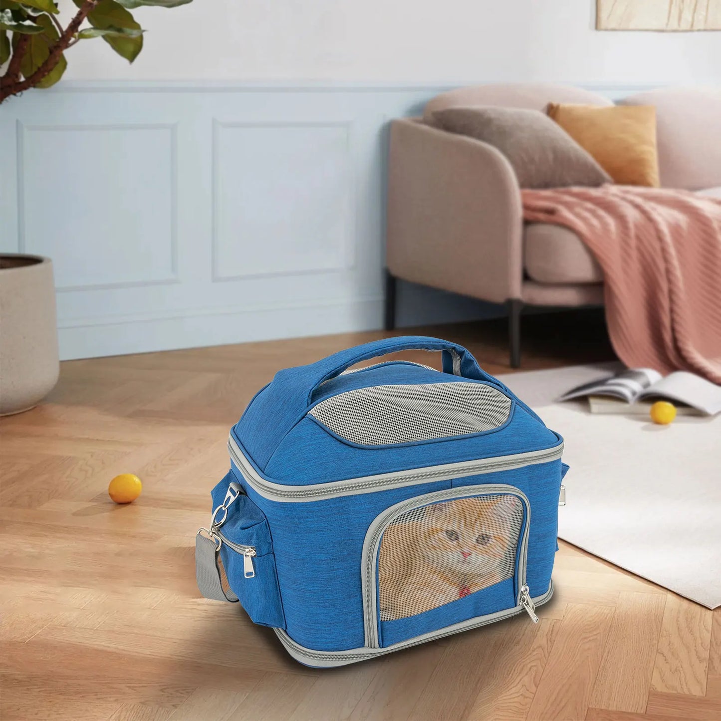 Blue Collapsible Pet Carrier | Oxford Waterproof Travel Bag