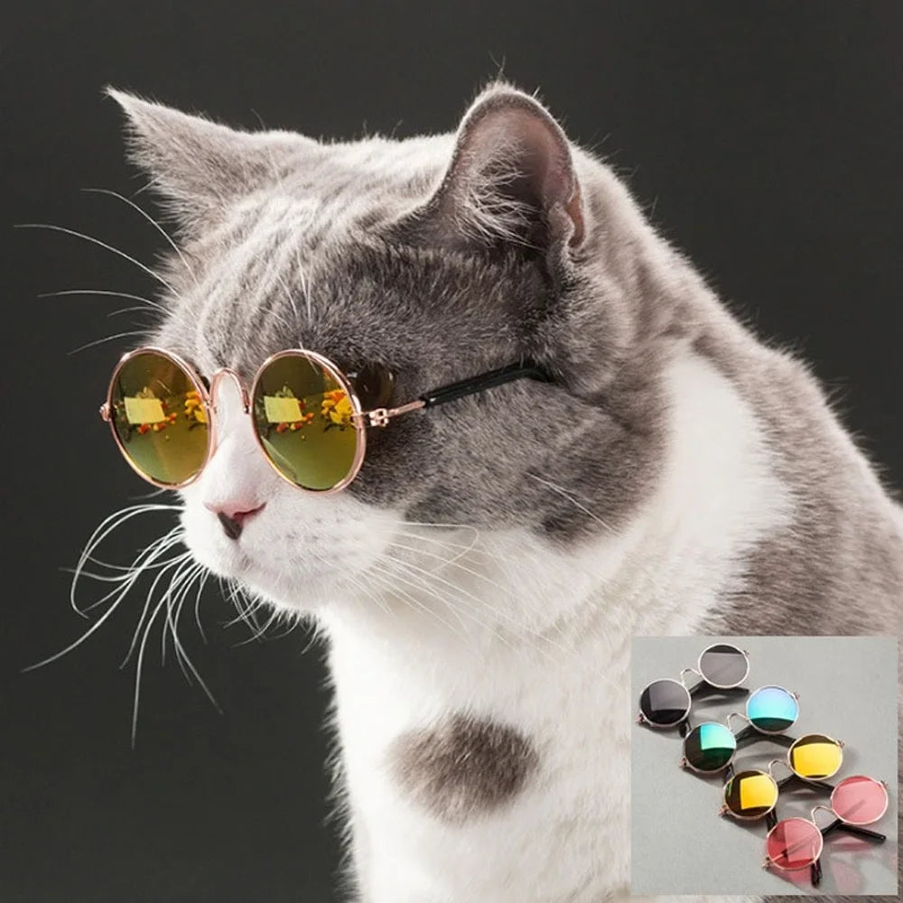 Pet Cat Dog Glasses Pet Products for Little Dog Cat Eye