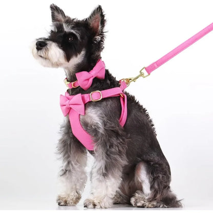 Cute Extra Small Dog Harness Set with Three Detachable