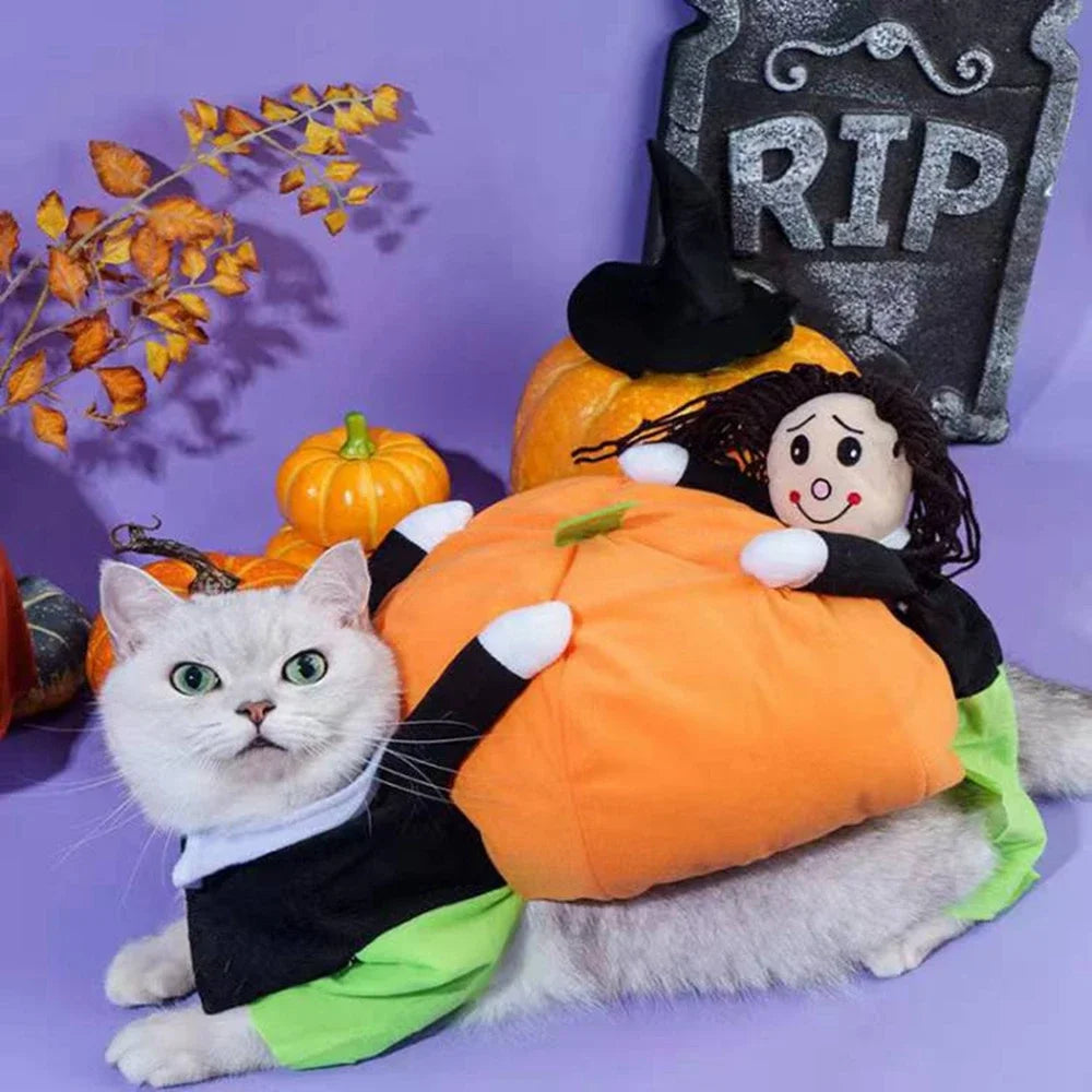 Halloween Funny Pet Clothes Cat Pet Pumpkin Costume