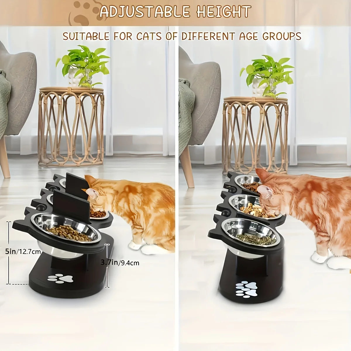 Elevated Cat Bowls 15° Tilted Raised Cat Food Bowls