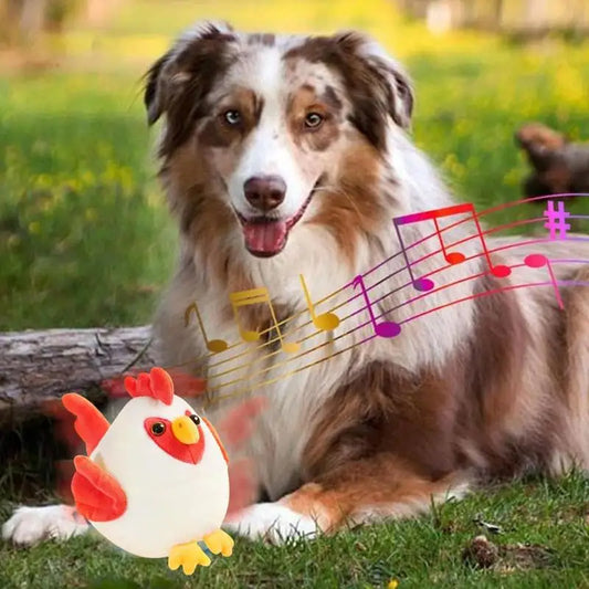 Bounce Ball Cartoon Chicken Plush Toys with Sound