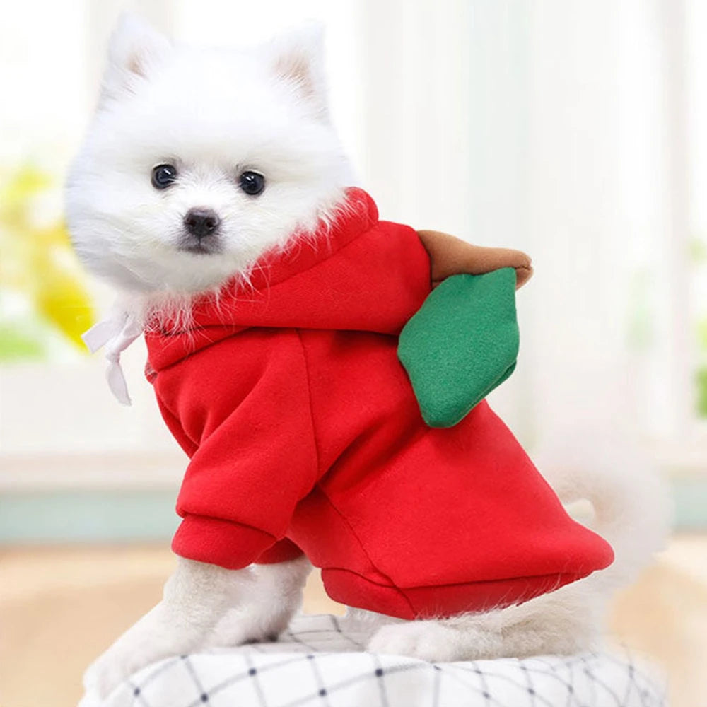 Cute Fruit Dog Clothes for Small Dogs Hoodies Warm