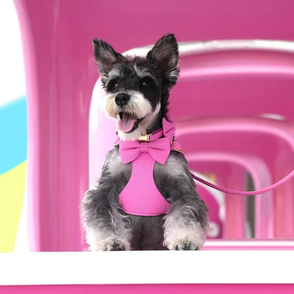Cute Extra Small Dog Harness Set with Three Detachable