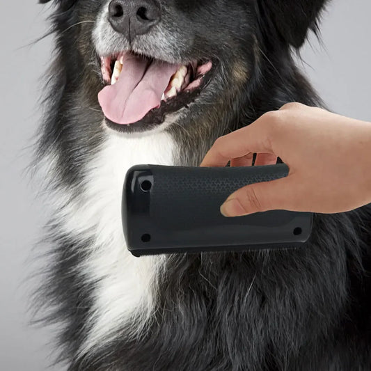 Pet Deshedding Brush Dog Hair Remover Dog Grooming