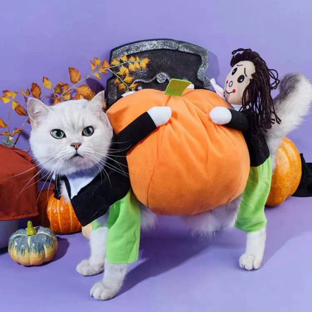 Halloween Funny Pet Clothes Cat Pet Pumpkin Costume