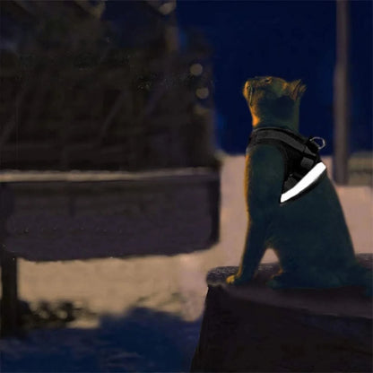 Mesh Cat Harness and Leash Set Escape Proof Adjustable